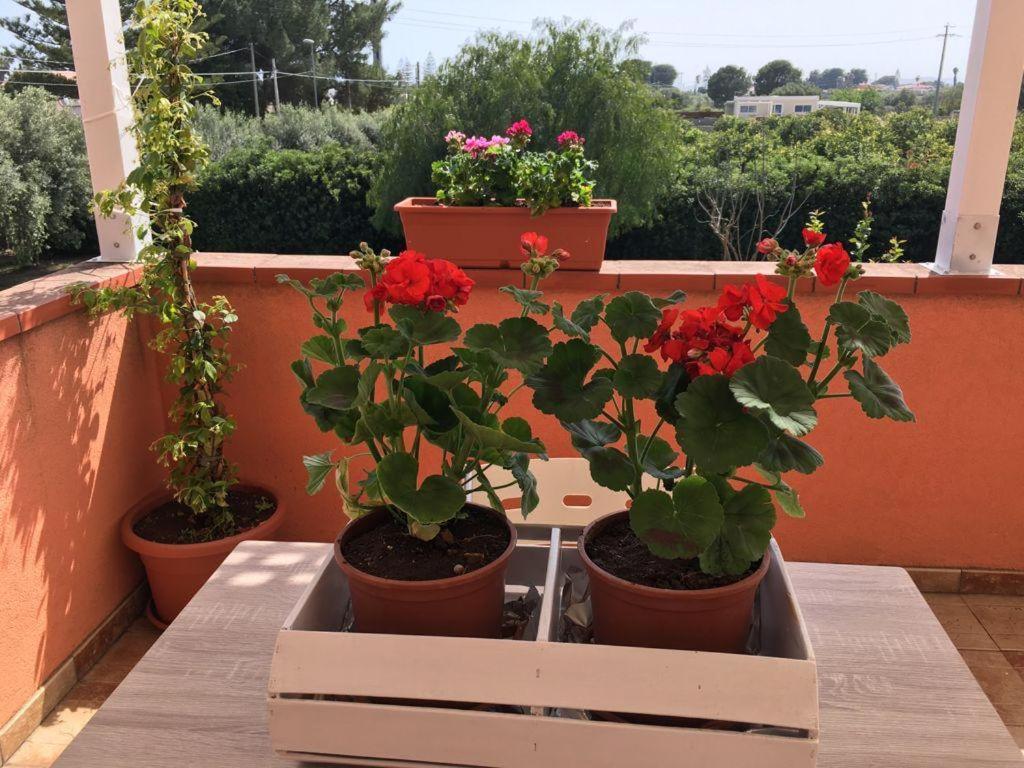 La Stanza Delle Muse In Villa Con Piscina Fontane Bianche Exteriér fotografie